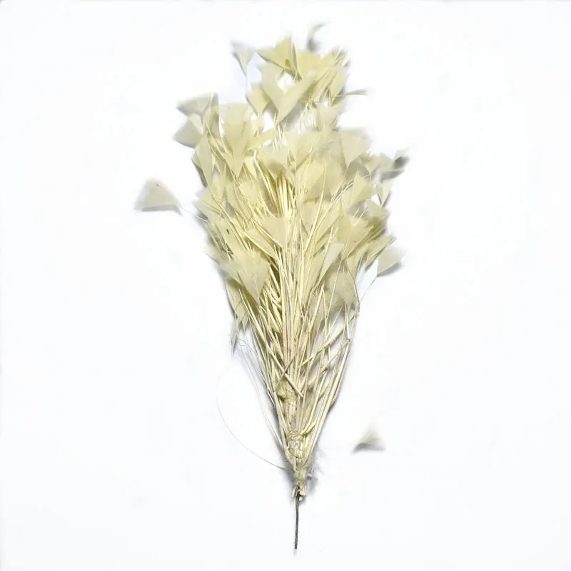 Light yellow 2 шт. красивые перья индейки для рукоделия Рождественская вечеринка декоративные 30 см DIY цветные перья ювелирные изделия Свадебные корсажи аксессуары - Цвет: Light yellow