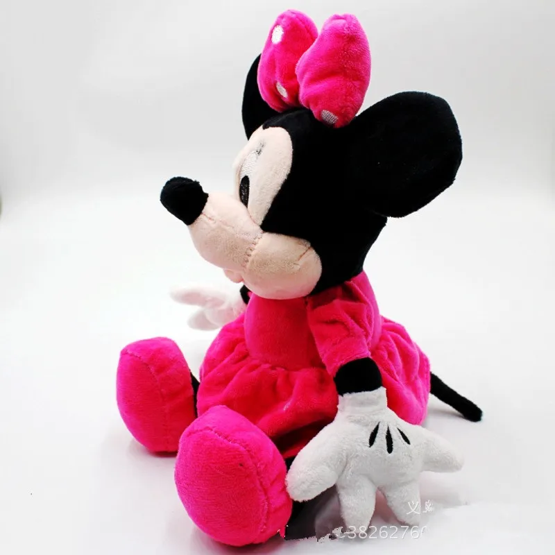 5033598572_1253969085