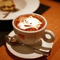 MTL Coffee Store