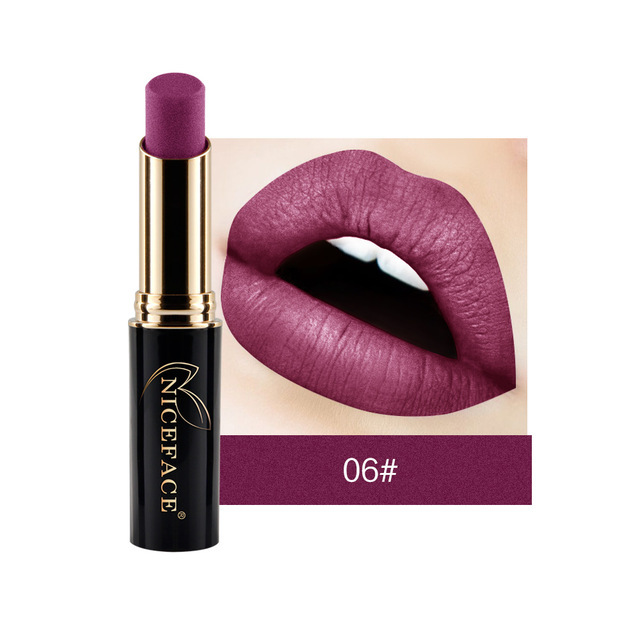 24 Colors Matte Women Lipstick Labiales Beauty Make Up Long Lasting Waterproof Metallic Lipstick Drop Shipping New Hot TSLM1