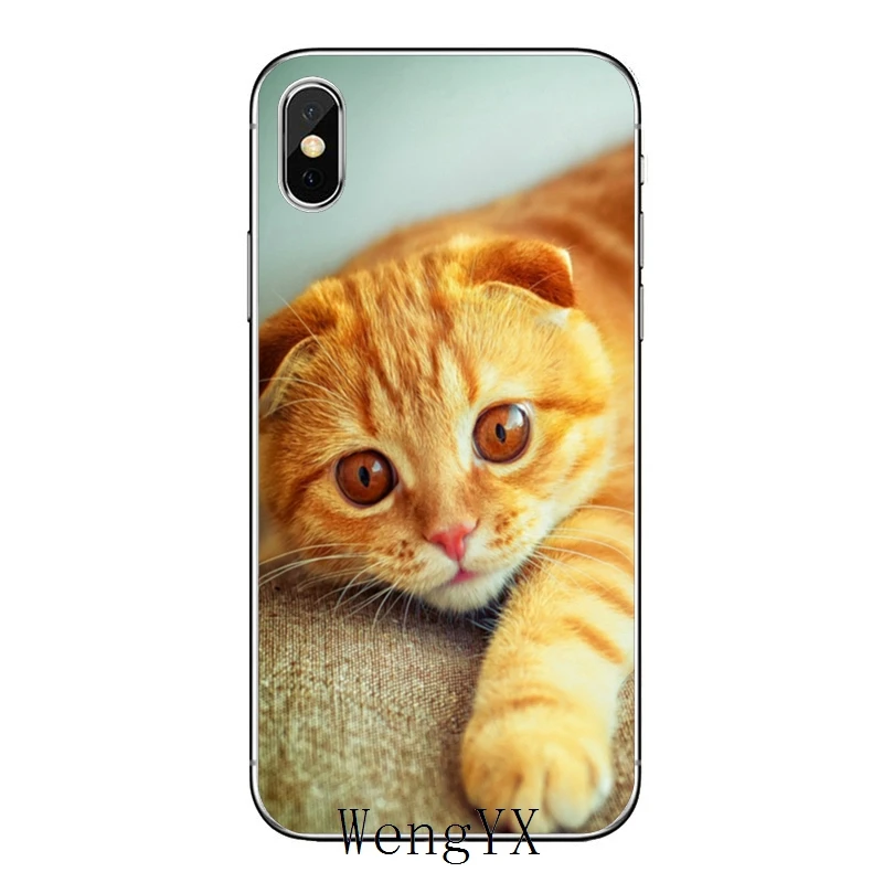 Шотландский Сложите cat для Xiaomi Redmi Note 6 5 5A 4 3 pro S2 5 plus 6A 4A 4x Pocophone F1 чехол - Цвет: fold-cat-A-05