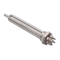 Élément chauffant 12v 24v 36v 48v 300W 600W SUS304 DN25 DC, chauffage tubulaire solaire/électrique pour eau d'immersion 4