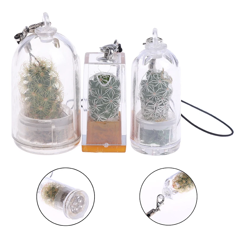 Buena Compra Collar creativo de Cactus en miniatura, suculento, usable, planta en vivo, Pandant al azar, 1 ud. lbQKMqGxnLJ