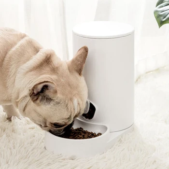 

3.8L Two Styles Pet Automatic Feeder Small Size Large Capacity Cat Dog Water Feeder with Non-slip Base Pet Food Container