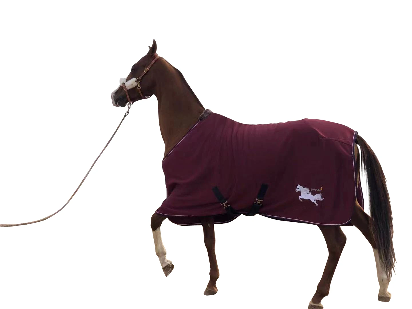 New European Thick Brushed Rugs, Thick Spring And Autumn Winter Horse Covering Five Colors