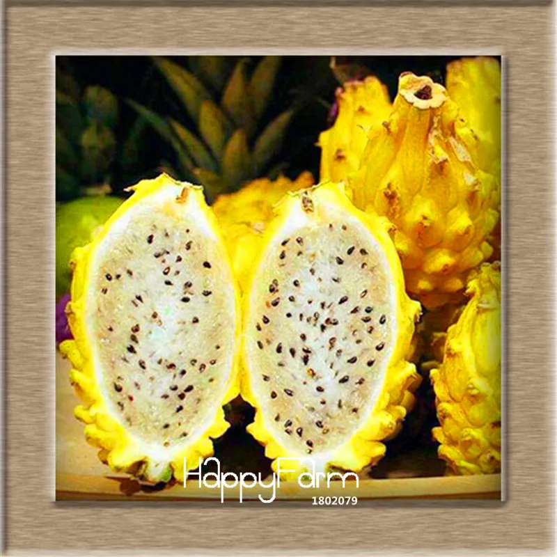 1 New!Sweet Pitaya Bonsai Tree Plants Dragon Fruit garden Pitaya flores Non-gmo Hylocereus Fruit, 100 plantas/Pack,#EV242E - Цвет: 1
