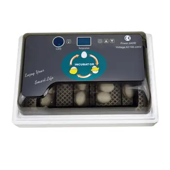 

Mini Home Incubators for Chicken Quail Duck Bird Eggs