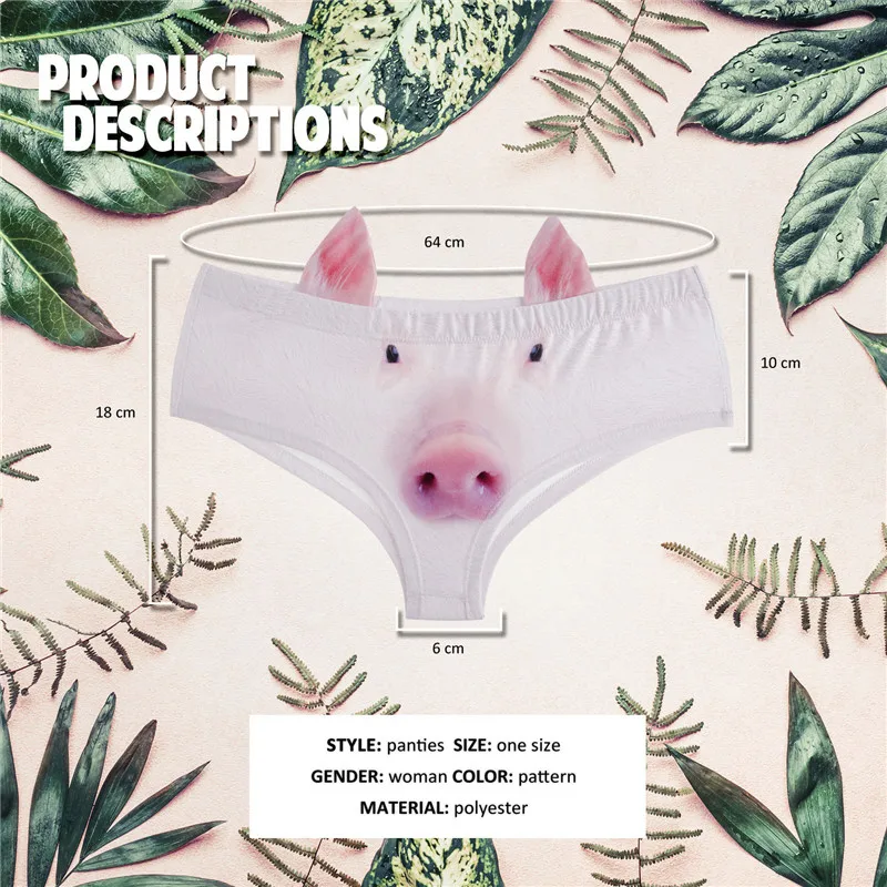 41070 pig (0)