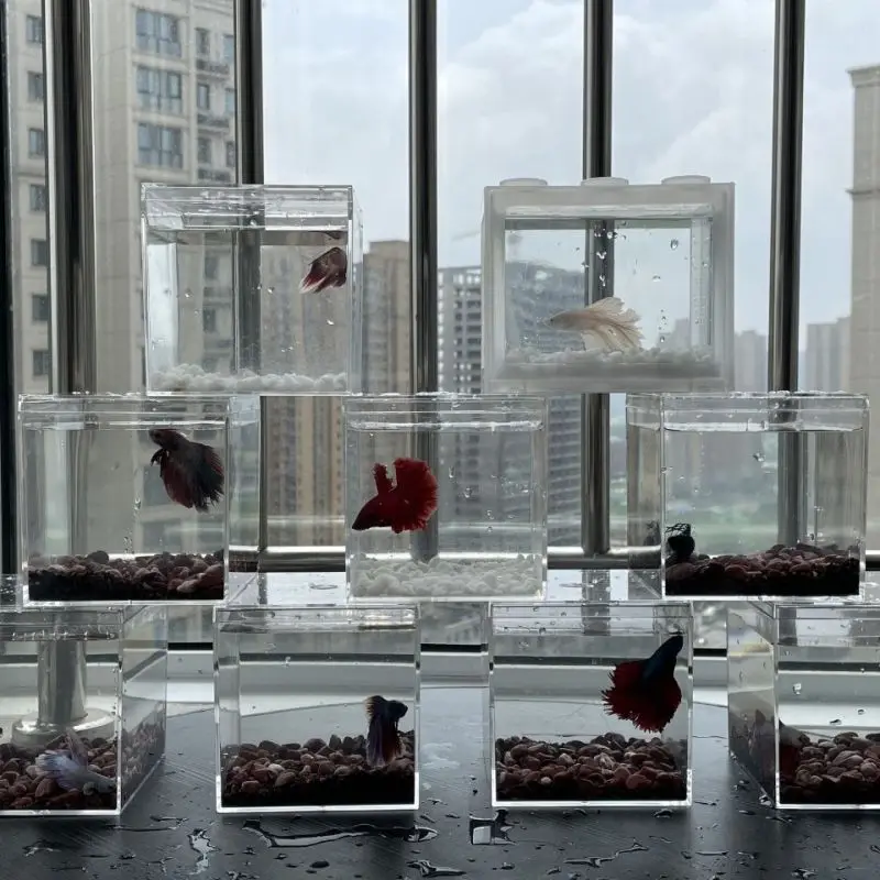 Betta Fish Tank Gold Fish Transparent Food Grade Plastic Tank Isolation Square Box WITH Lid Aquarium Accessories fish aquarium