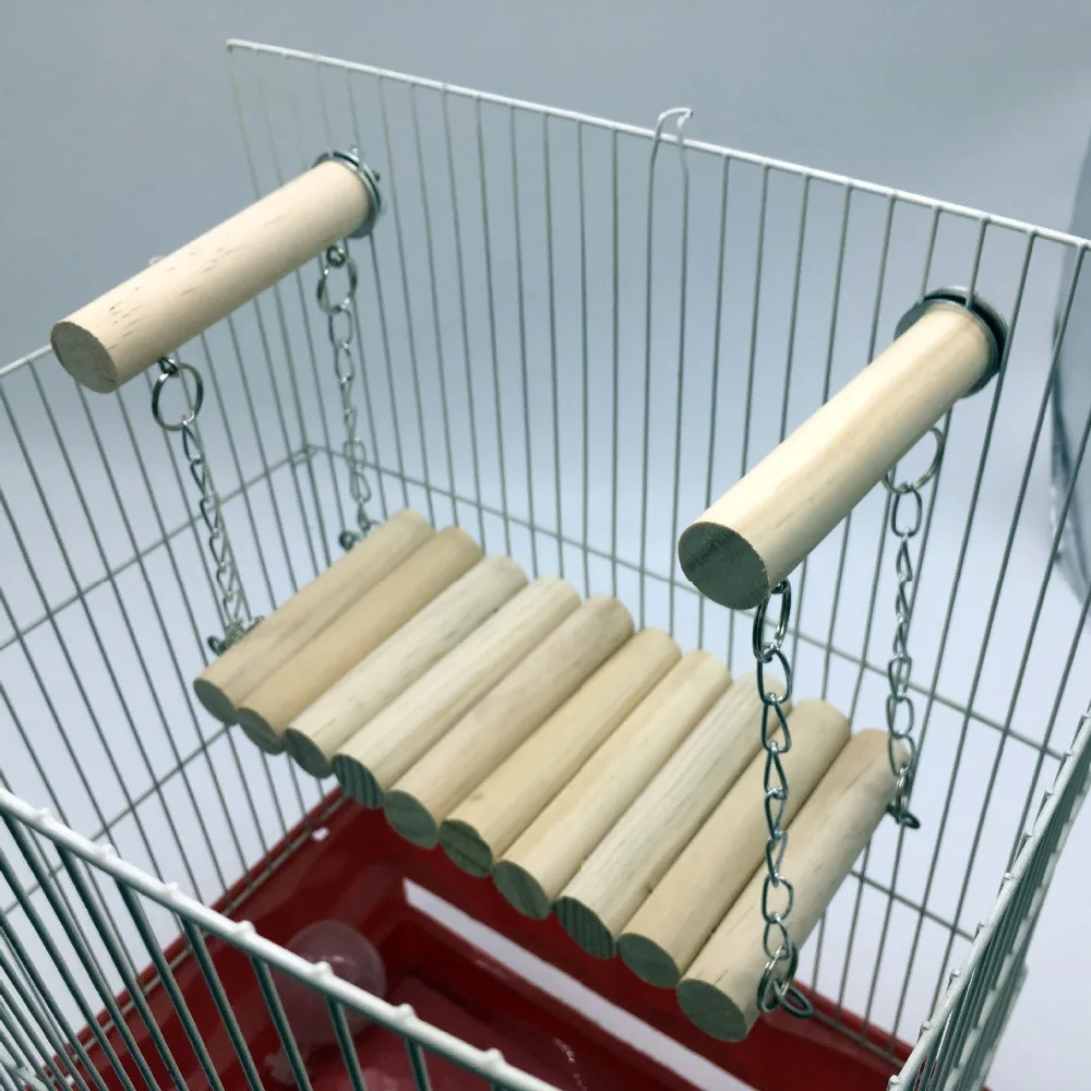 4521116410_1550852929