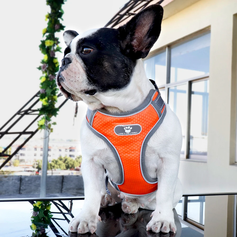 Adjustable Pitbull Dog Harness Collar Harness Pitbull Pull Harness