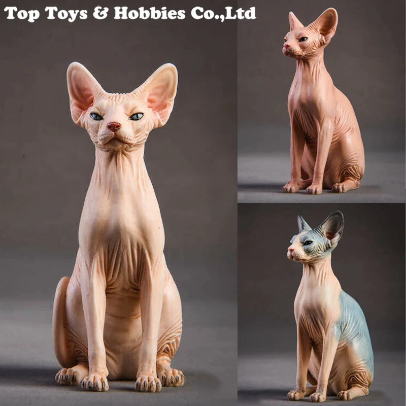 In Stock 1 6 Scale Jxk010 Canadian Hairless Cat Statue Resin Cartoon Animal Figure Pet Model For 12 Action Action Figures Aliexpress