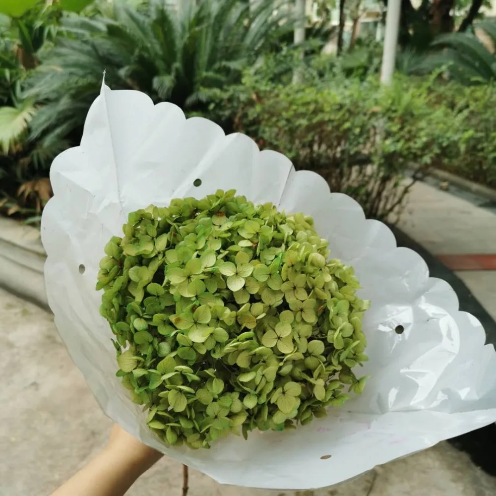 6ee41b19a519a9f9cf8e36df678460b