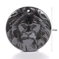 Lion face