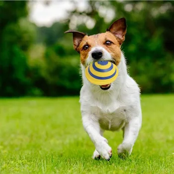 

Sounding Disc Woof Glider Soft & Safe Indoor Pet Dogs Play Toy Pets Unique Interacts Entertainment Toys Dog Toy Sounder