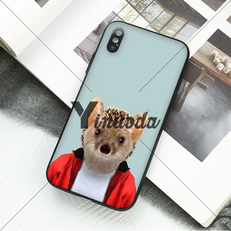 Animal portrait elephant owl tiger panther