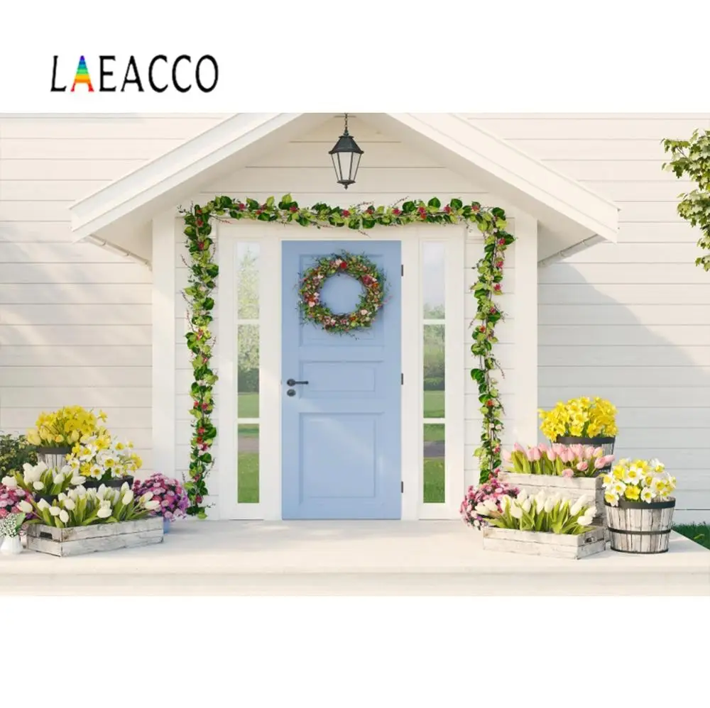 Laeacco фотофоны старый пустынный камень город горшечные цветы Сельский живописный
