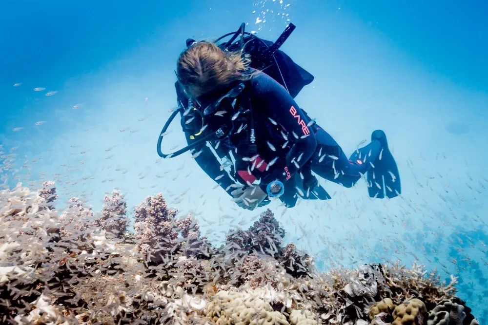 TB2JvSjmXXXXXaGXpXXXXXXXXXX_!!362304908