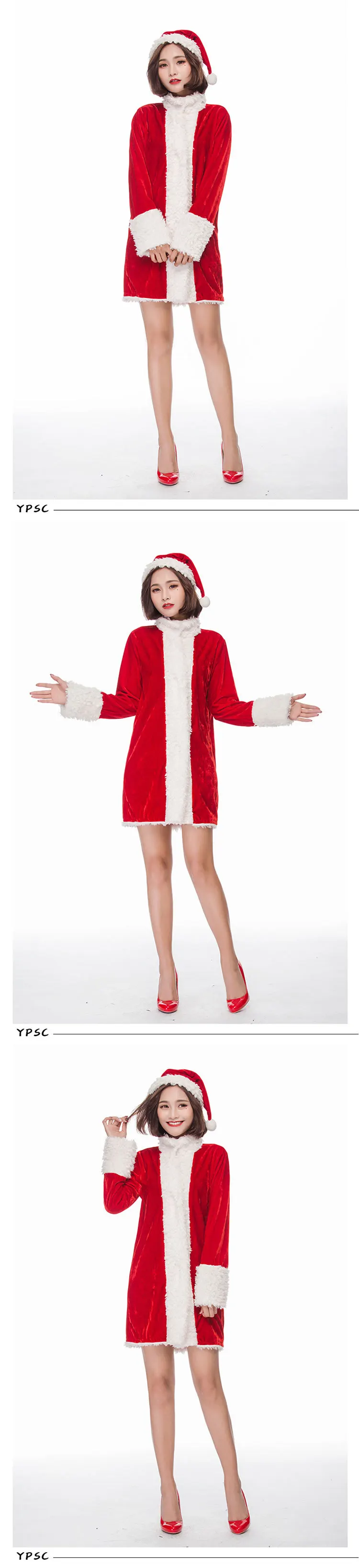 Christmas costume3 (23)