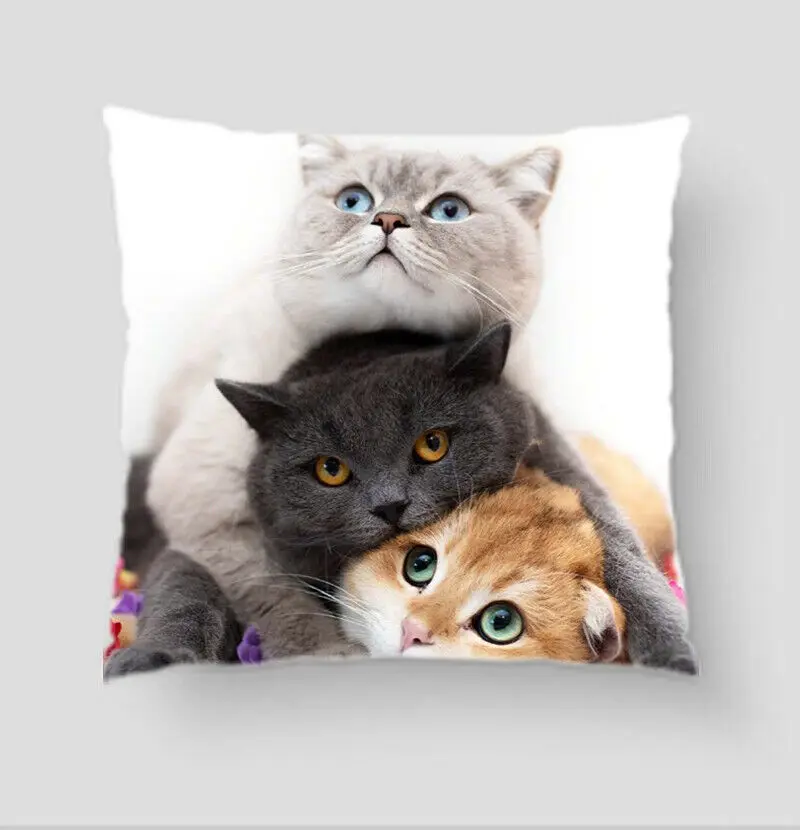 Animal Cute Cat Waist Car Throw 3D Cover Pillow Pattern Home Sofa