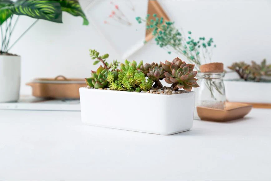 QQ截图20190814103232