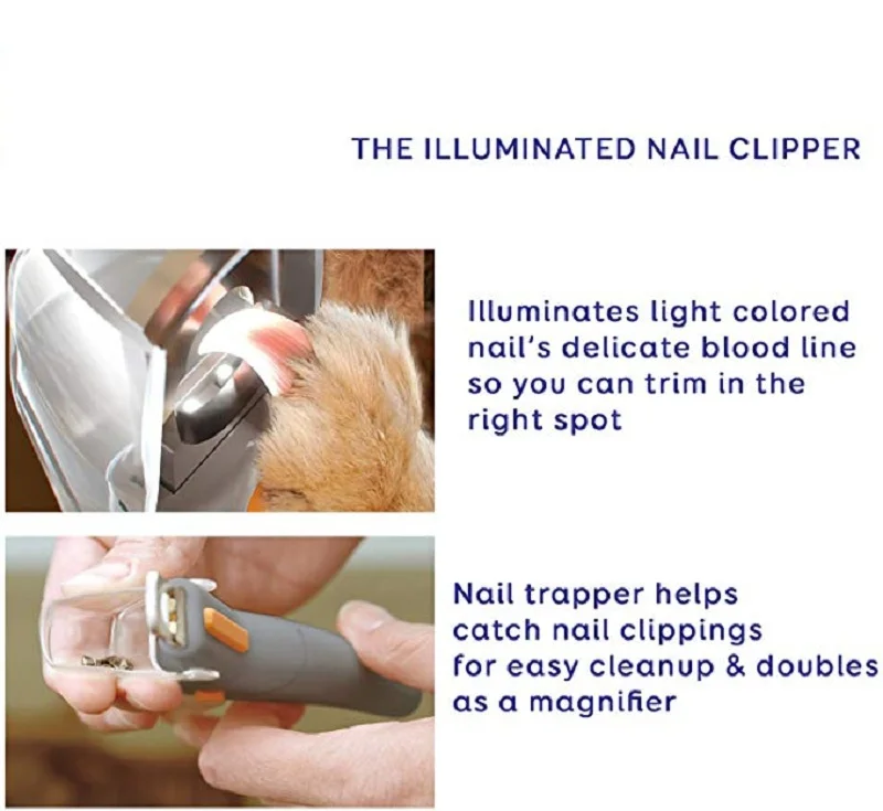 71YBdCEqlZL._AC_SX679_