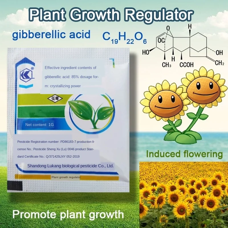 

1PCS Concentrate Gibberellic Acid 920 Plant Growth Regulator Break Sleep Fertilizer Increase Production For Home Garden Bonsai