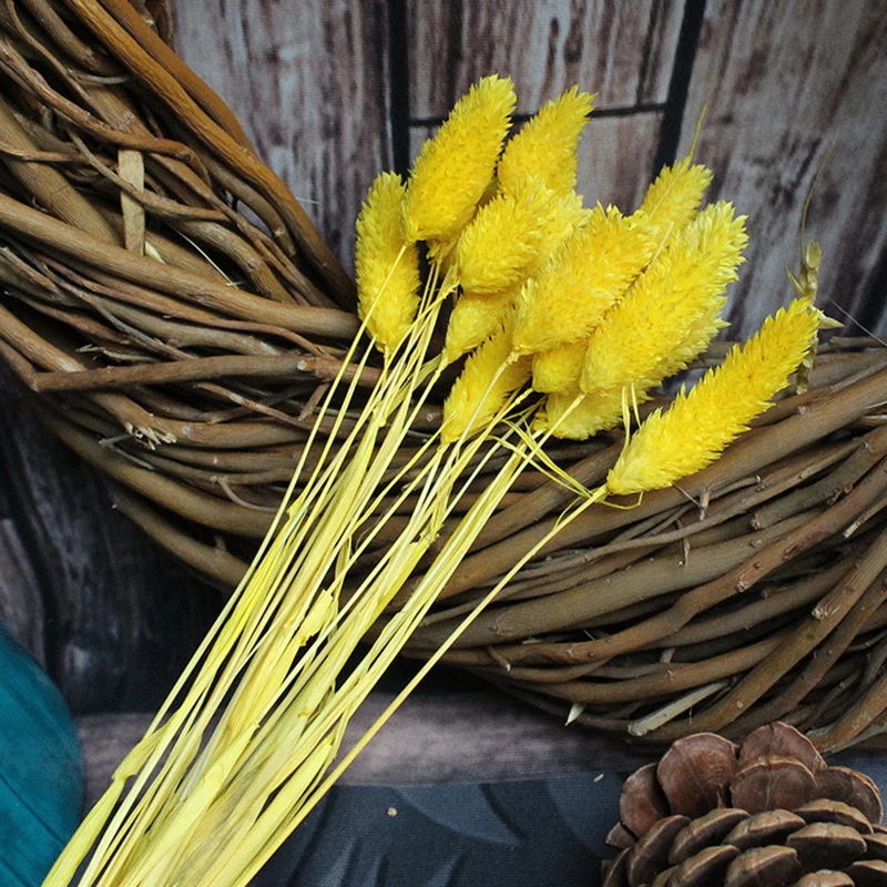 6087868967_1854372444