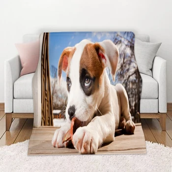 

Modern Fashion Individuality Custom Blanket Soft Summer Air-Conditioned Throw Blanket 3D Pet Dog Cat Blankets for Home Decor