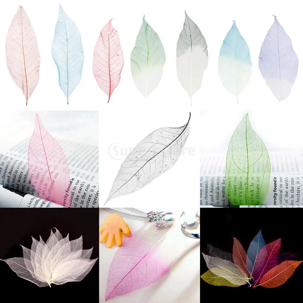 50Pcs Natural Magnolia Skeleton Leaf Craft Supplies Leaves Card Scrapbooking Embellishments Multi-Purpose Gift for Friend