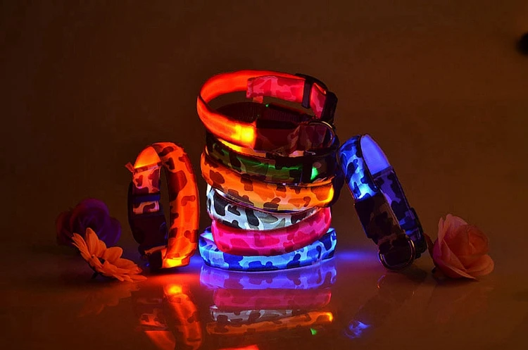 dog collar (2)