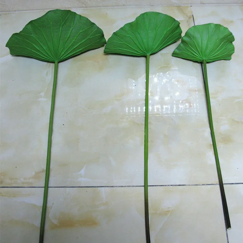 ZYD00640-01-ZYD00640-10-C4