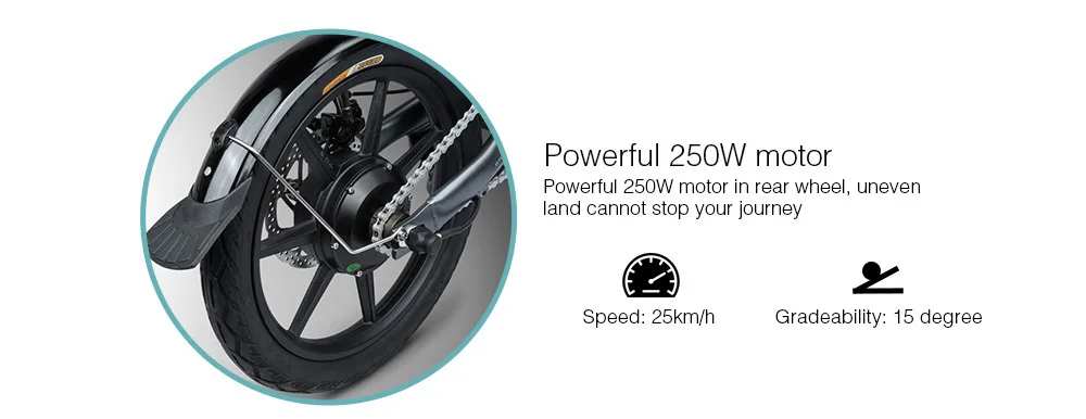 16 Inch Fiido D2 Adult Electric Bicycle 2 Wheels Electric Bicycle Mini 250W Folding Portable Electric Bike (7)
