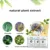 10 Упаковок Natural Mite Removal Bag Anti Mites Killer Natural Bed Bug Eliminator For Home Bed Pillow Sheet Couch Cleaner Pet Dog