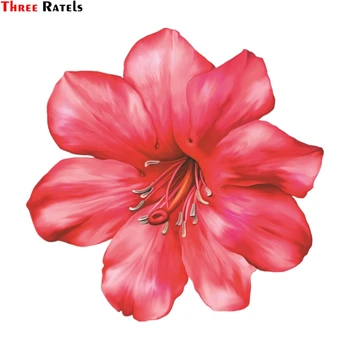 

Three Ratels FC189 3D Flower Sticker INS Style Stickers For Car Laptop Moto Skateboard Luggage Refrigerator Notebook Laptop Toy