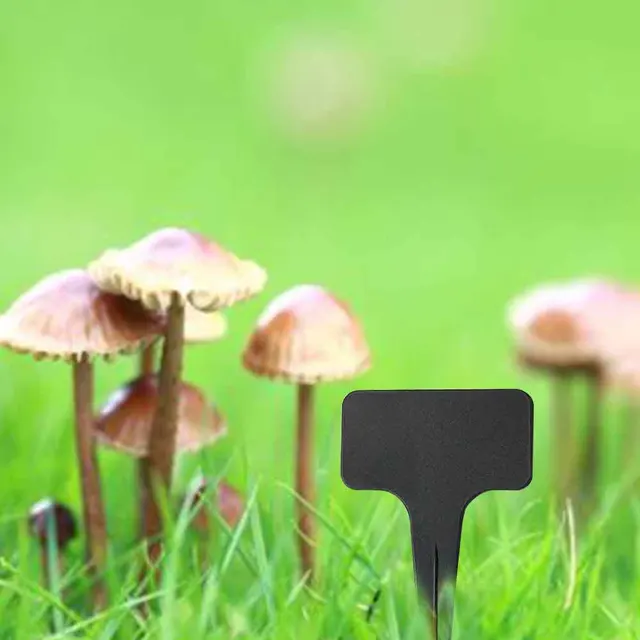100Db Kerti Markerek Beszúrás T Típusú Tájüzem Címkék Pp Műanyag Kopás Ellenálló Uv -Ellenes Fekete Üres Plakk Zöldségcímkék - Image 5