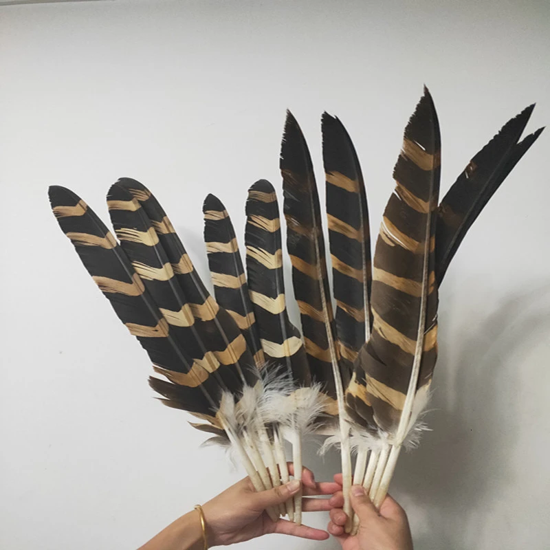 10pcs Natural Eagle Feathers 22-26inches/55-65cm Top Quality Eagle Bird Feathers For Crafts Wedding Decoration Diy Jewelry Plume