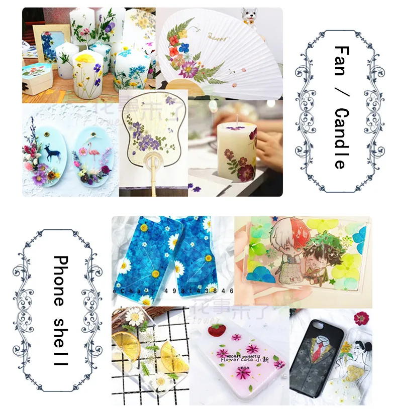 Description Picture 6 of item20-24pcs,Natural Pressed Roses with stem,Eternal Dried rose Flower for DIY Wedding invitations Craft Photo Bookmark Gift Cards