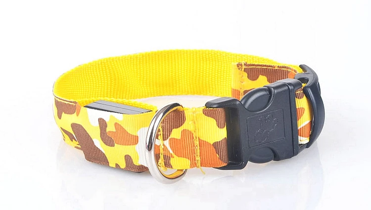 dog collar (22)