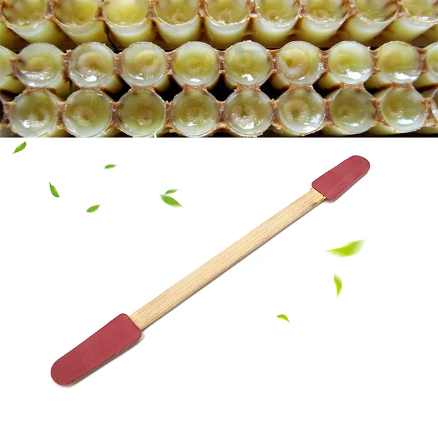 20 db Méhészet Dupla Fejű Bambusz Műanyag Take Gyűjtés Transfer Pulp Pen Royal Jelly Bee Milk Squeegee Szerszámkészletek - Image 3