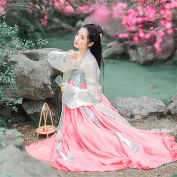 

Traditional Chinese Costume Noble Palace Princess Cosplay Hanfu Dress Folk Dance Ancient Chinese Style Tang Suit Fairy Outfits