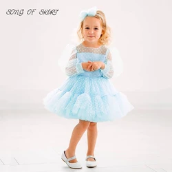 Sky Blue Dot Net Flower Girl Gown Illusion Long Sleeve Children's First Communion Party Dress Robe Pour Mariage Enfant