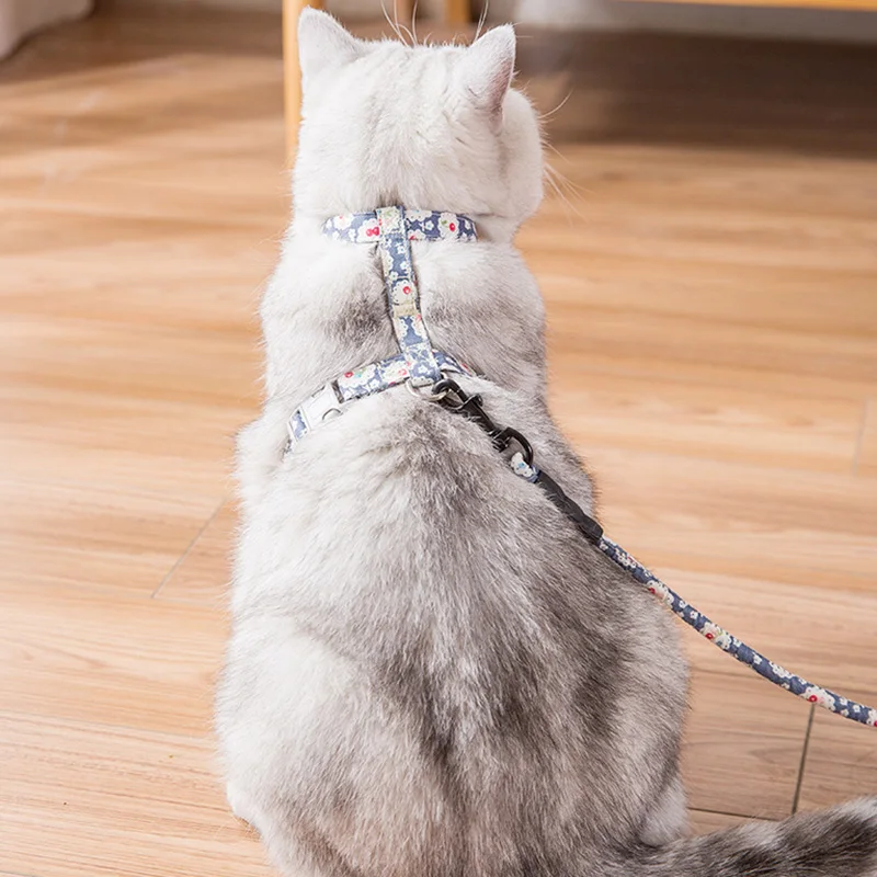 11712258935_859103132