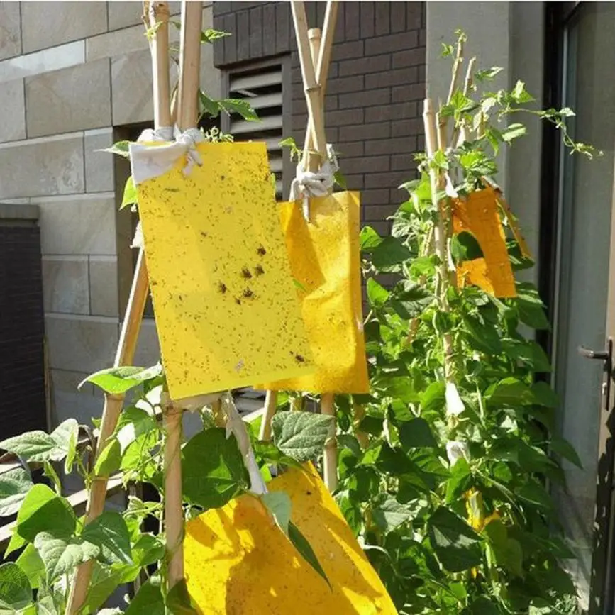 

Insect-Catching Yellow Board, Sticky Card, Sticky, Dip Worm Board, Insect-Catching Insecticidal Board, Lure Insects Kill Aphid