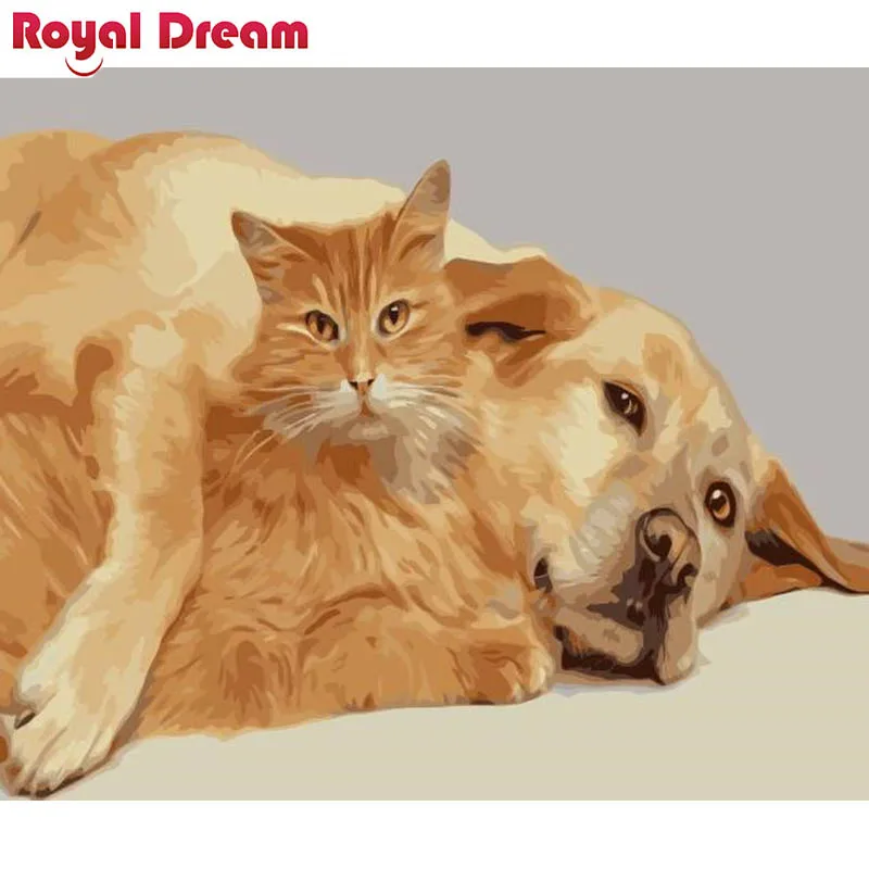 WM-1461-橘毛与金毛 副本