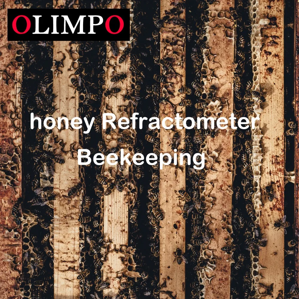 honey beekeeping