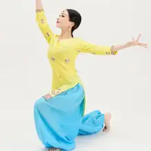 Индийский хлопковый вышитый пенджаби традиционный Женский ленха сари костюм для йоги из двух частей топ брюки