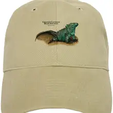 Бейсбольная кепка Grand Cayman Blue Iguana