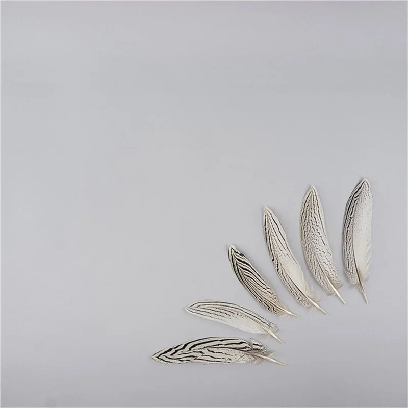 Pheasant Tail Feathers for Crafts Natural Silver Pheasant Feather Carnaval Wedding Feathers needlework accessories Decoration