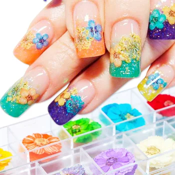 

12 Grid Real Dry Dried Flower Nail Art Decoration Leaves 3D Nail Art Accessories For Manicure Decoration Nails Art Glitters